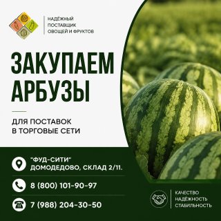 Арбуз
