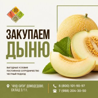 Дыня