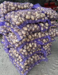 Картофель