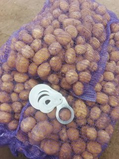 Картофель
