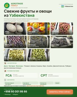 Виноград