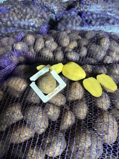 Картофель