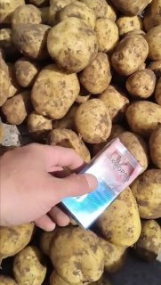 Картофель