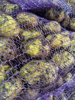 Картофель