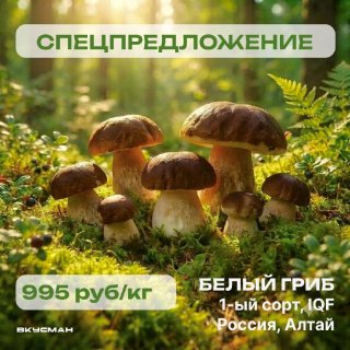 Белый гриб